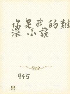 你是我的难得情深 小说