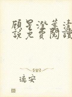 顾星澄叶清月小说免费阅读最新章节封面