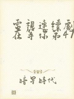 电视连续剧妈妈在等你第47集封面