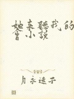 她来听我的演唱会小说封面