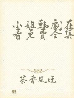 小姐韩剧在线观看免费全集电视剧高清