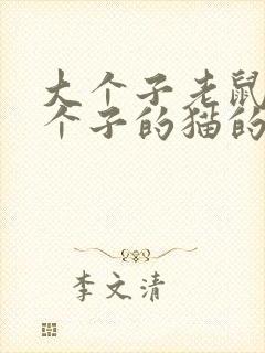 大个子老鼠和小个子的猫的故事封面