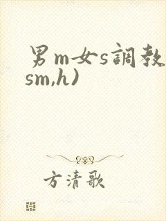 男m女s调教(sm,h)
