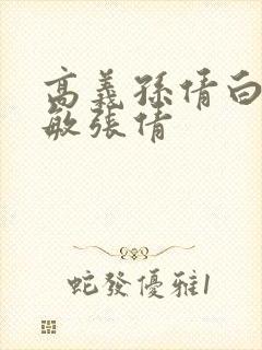 高义孙倩白洁赵敏张倩