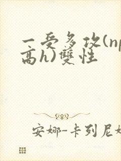 一受多攻(np高h)双性