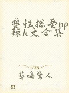 双性总受np高辣h文合集