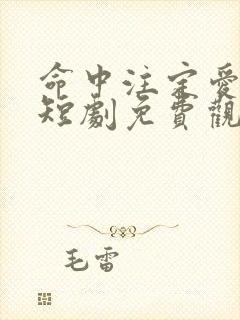 命中注定爱上你短剧免费观看全集高清