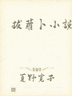 拔萝卜小说封面