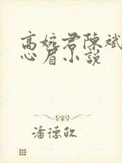 高婉君陈斌和赵心眉小说
