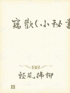 窃欢(小秘书)封面