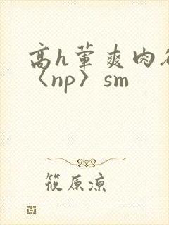 高h荤爽肉欲文〈np〉sm