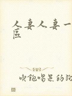 人妻人妻一区二区