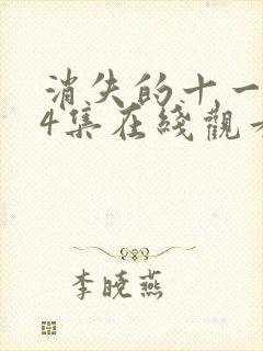 消失的十一层24集在线观看封面