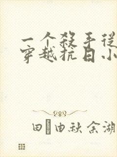 一个杀手从山洞穿越抗日小说免费阅读