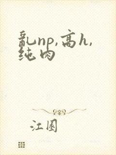 乱np,高h,纯肉