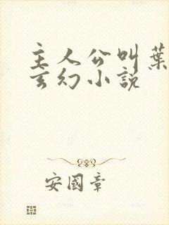 主人公叫叶风的玄幻小说