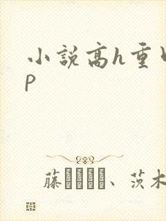 小说高h重口np