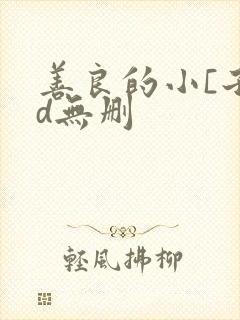 善良的小[子hd无删封面
