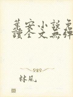 叶安小说免费阅读全文无弹窗