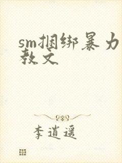 sm捆绑暴力调教文