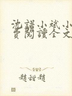 沈诺小斌小说免费阅读全文最新章节