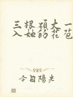 三根硕大一起挤入她的花苞演员表封面