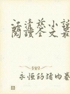 江清慈小说免费阅读全文最新章节封面