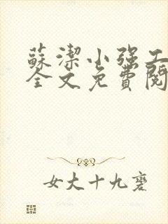 苏洁小强工地情全文免费阅读