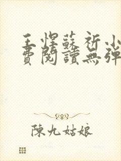 王悍苏祈小说免费阅读无弹窗