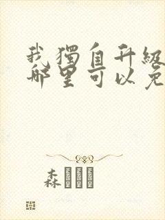 我独自升级漫画哪里可以免费观看封面