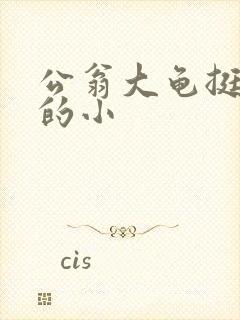 公翁大龟挺进我的小