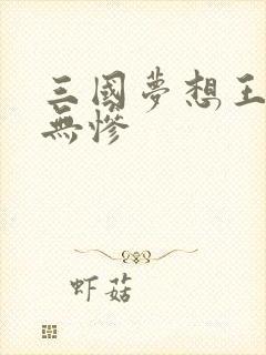 三国梦想王元姬无惨