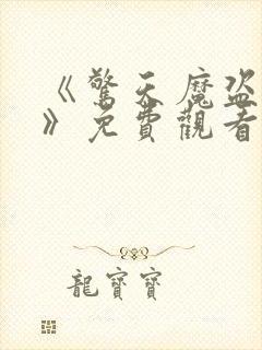 《惊天魔盗团3》免费观看封面