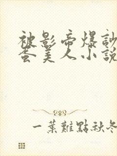 被影帝爆吵的笨蛋美人小说