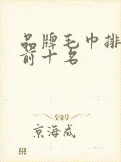 品牌毛巾排行榜前十名