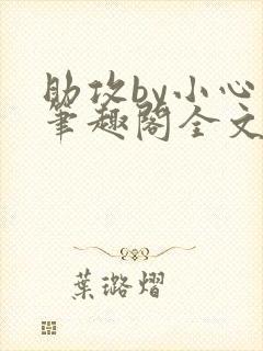 助攻by小心点笔趣阁全文免费阅读