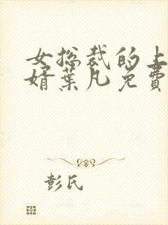 女总裁的上门女婿叶凡免费