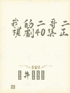 我的二哥二嫂电视剧40集正片