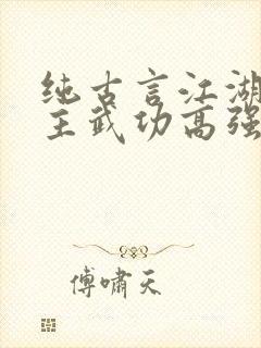 纯古言江湖文女主武功高强封面