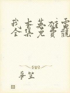 我本英雄电视剧全集免费观看封面