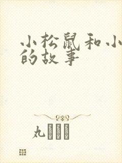 小松鼠和小兔子的故事