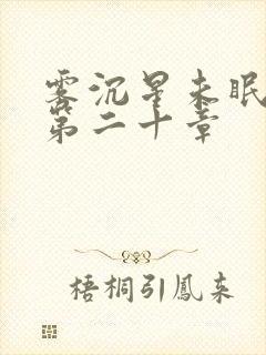 雾沉星未眠小说第二十章