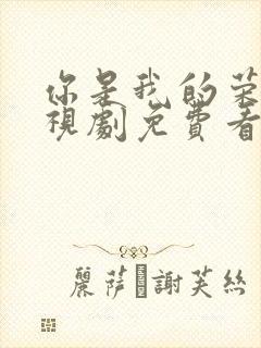 你是我的荣耀电视剧免费看全集