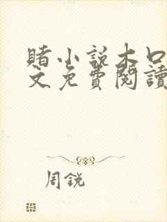 赌小说木口银全文免费阅读笔趣阁封面