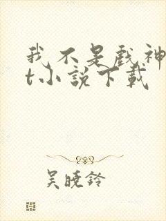 我不是戏神txt小说下载封面