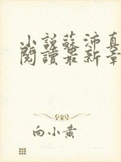 小说苏沛真全文阅读最新章节更新时间