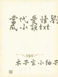 当代爱情刘雪刘成小说txt封面