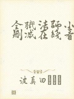 全职法师小说未删减在线看