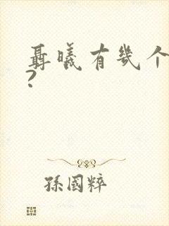 聂曦有几个孩子?