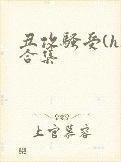 丑攻骚受(h)合集封面